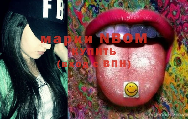 дмт Ельня