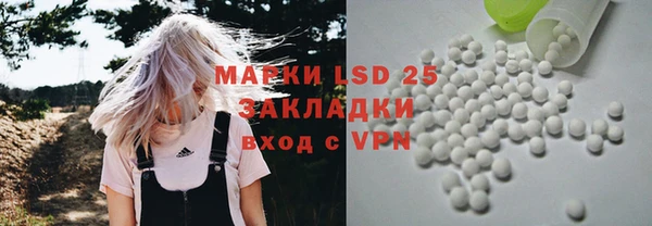 дмт Ельня