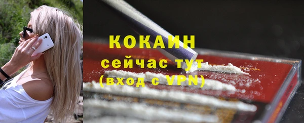 прущие грибы Елизово