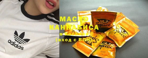дмт Елабуга