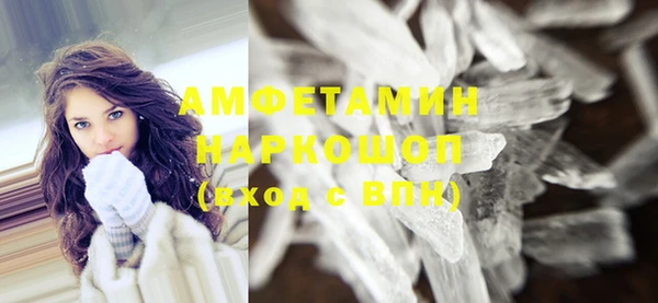 дмт Ельня