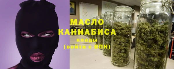 дмт Елабуга