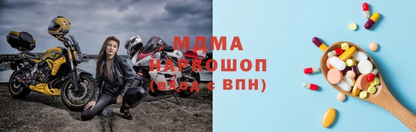 прущие грибы Елизово