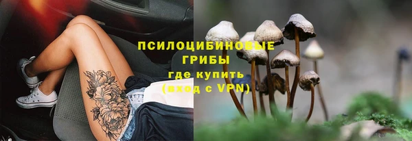 прущая мука Заводоуковск