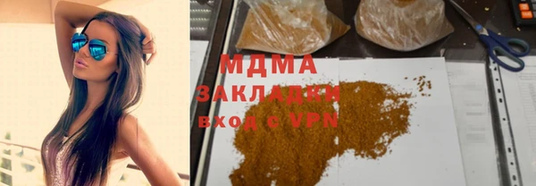 прущие грибы Елизово