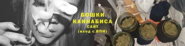 дмт Ельня