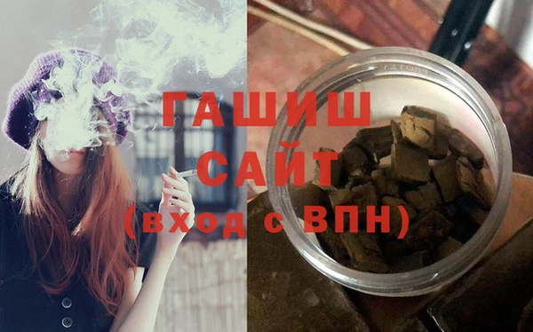 дмт Ельня