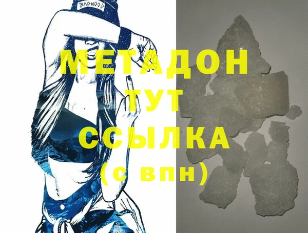 прущие грибы Елизово