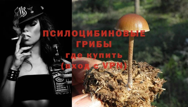 дмт Ельня