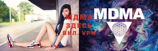 дмт Ельня