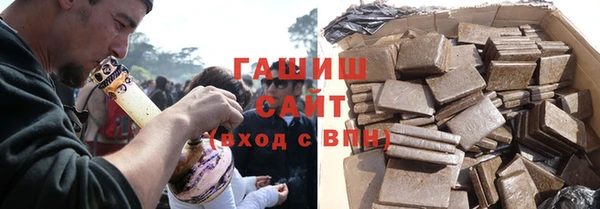 дмт Ельня