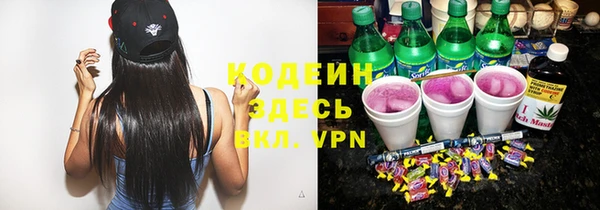 прущие грибы Елизово