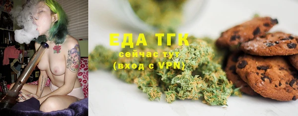 дмт Ельня