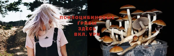 дмт Елабуга